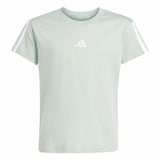 T-shirt Essentials Ragazzo - Verde / Bianco
