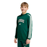 Felpa con Cappuccio Codes Collegiate Graphic - Verde
