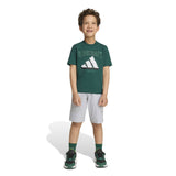 Set T-shirt Minecraft - Verde
