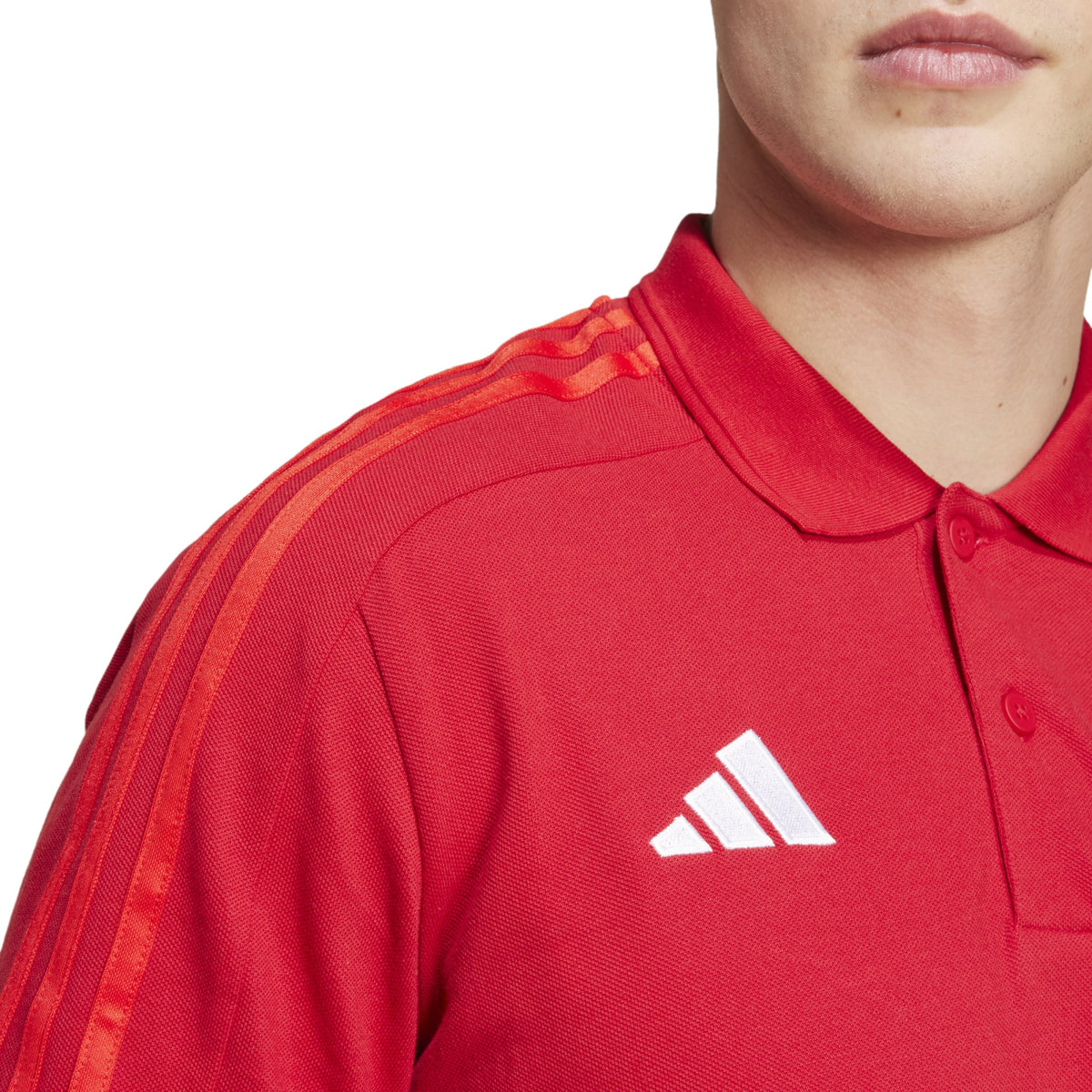 Polo DNA FC Bayern München - Rosso