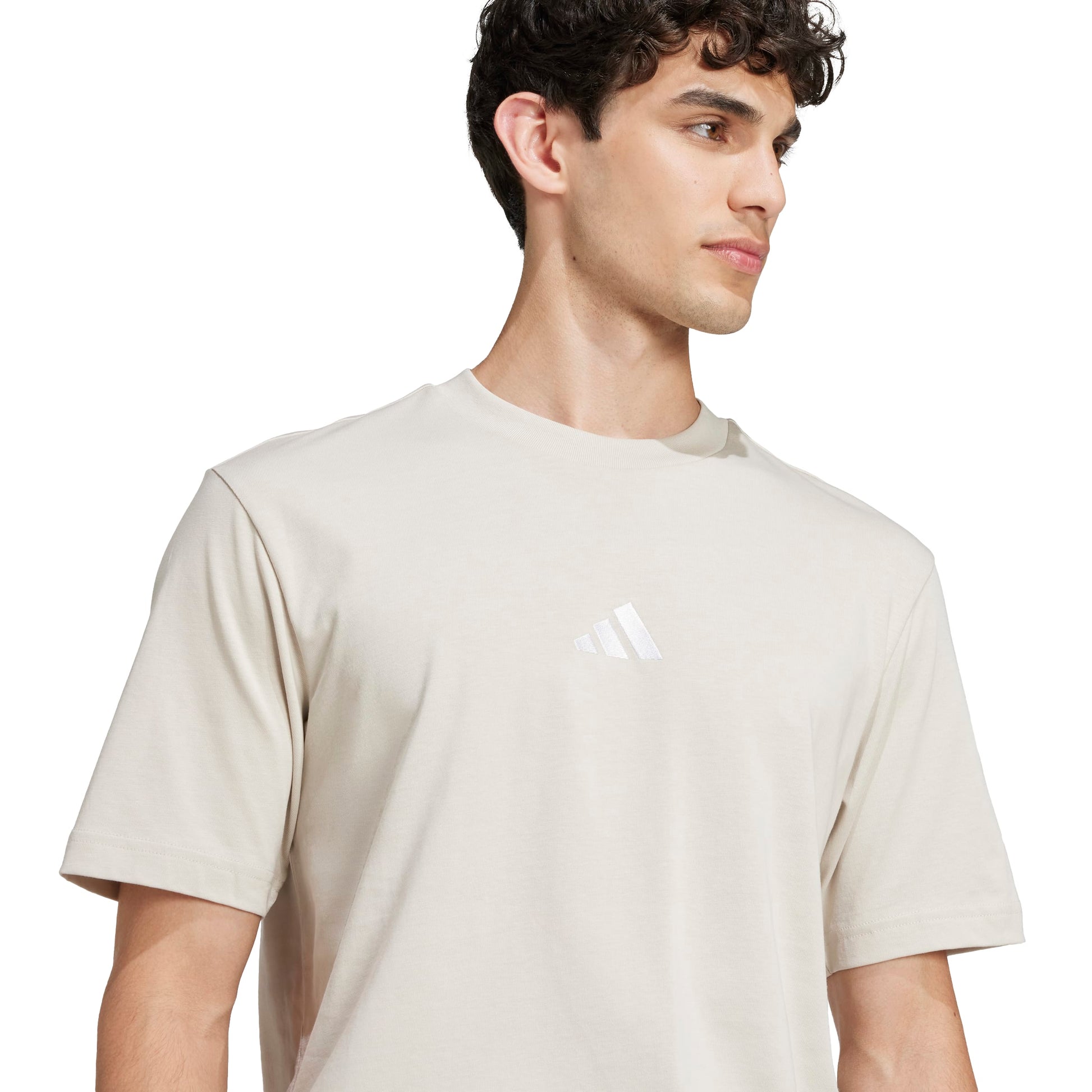 Adidas T-Shirt Grigio