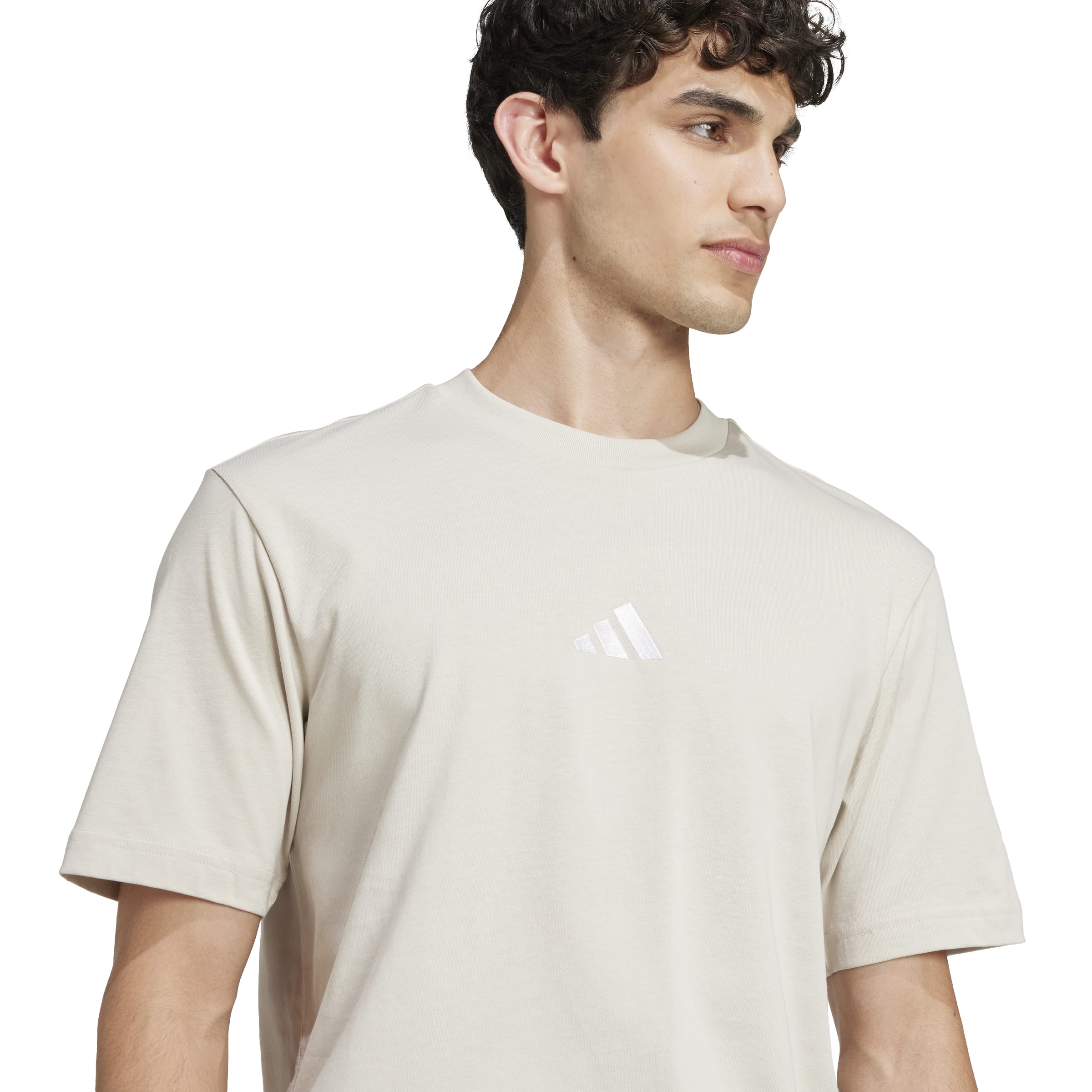 Adidas T-Shirt Grigio
