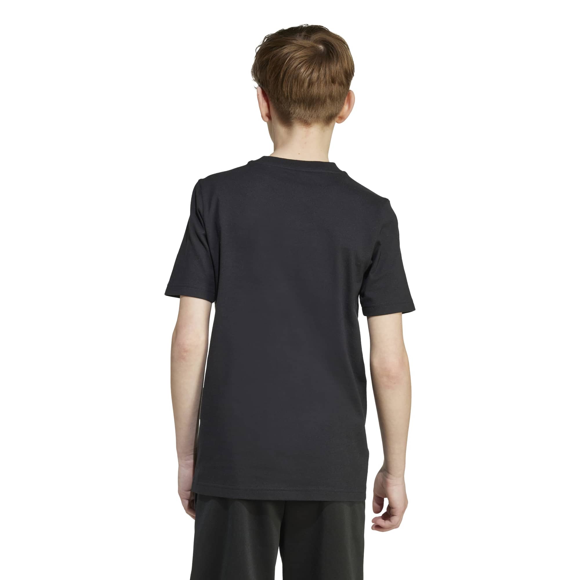 JV5079 - Nero