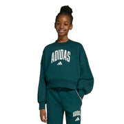 Adidas Felpa Seasonals Essentials Collegiale Grafica Girocollo Bambini Verde