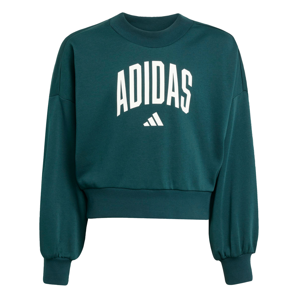Adidas Felpa Seasonals Essentials Collegiale Grafica Girocollo Bambini Verde
