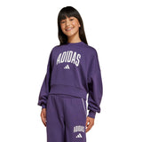 Felpa Seasonals Essentials Collegiale Grafica Girocollo Bambini - Viola