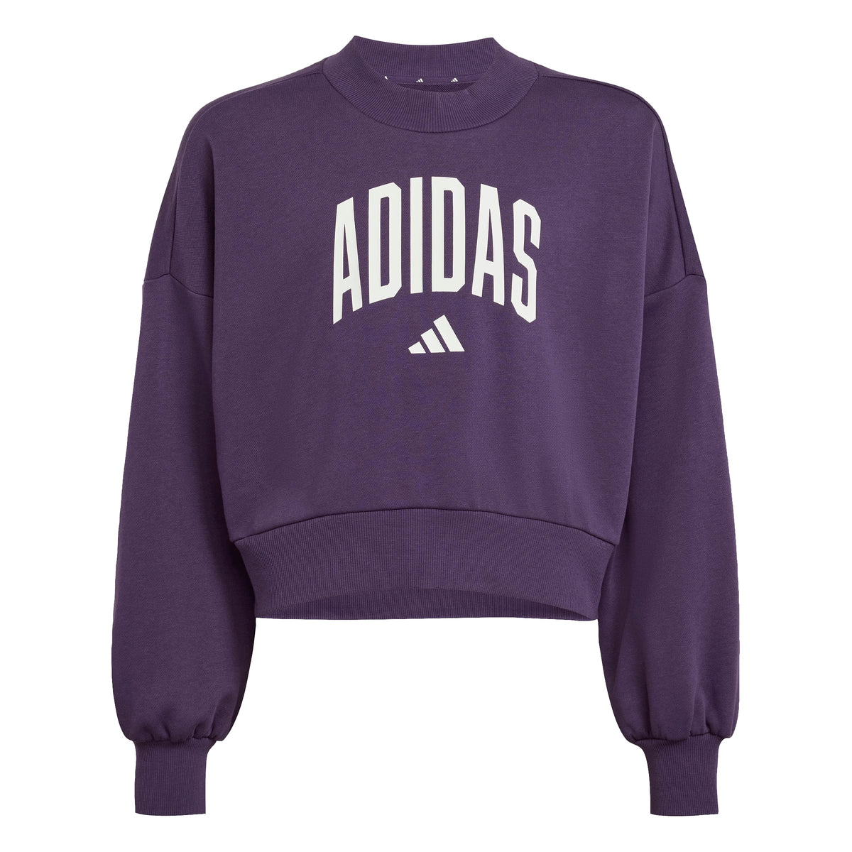 Adidas Felpa Seasonals Essentials Collegiale Grafica Girocollo Bambini Viola