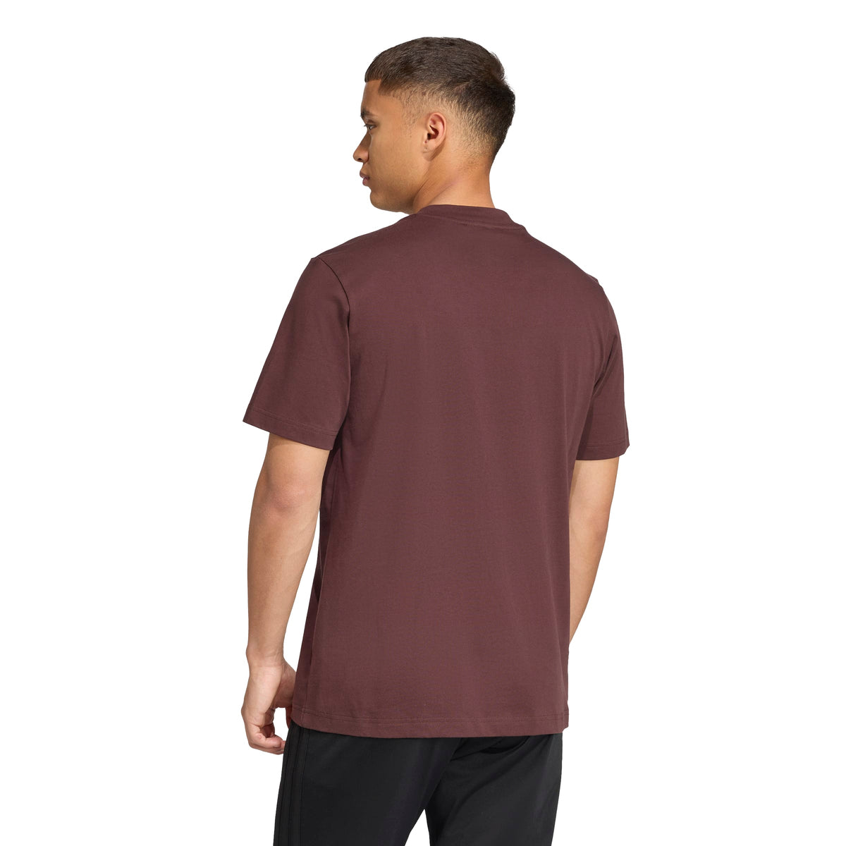 Adidas T-shirt Essentials Linear Single Jersey Marrone