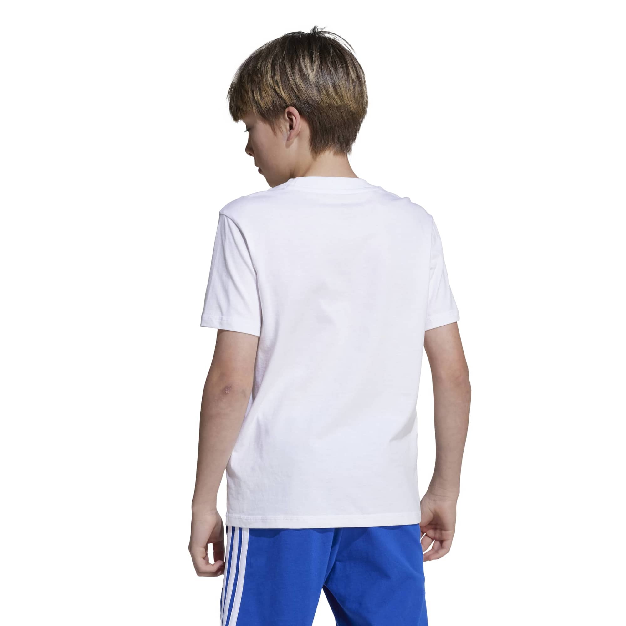 T-shirt Essentials Junior - Bianco / Blu / Rosso