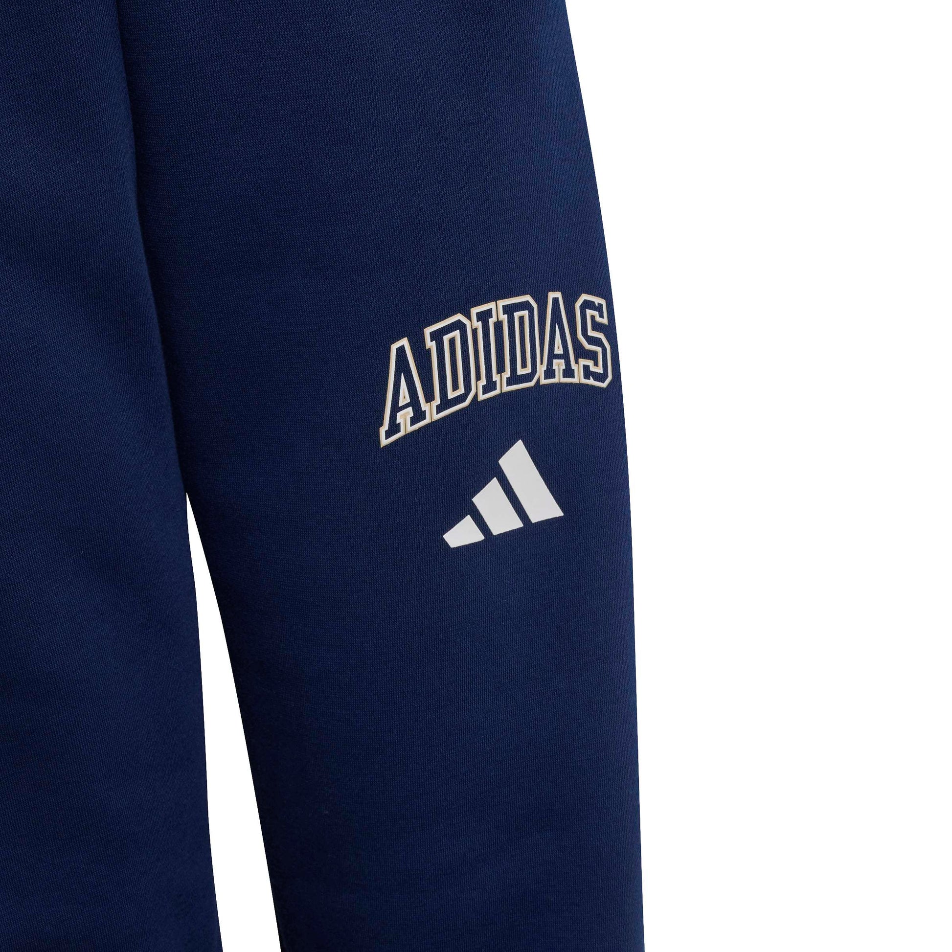 Adidas Pantaloni Seasonals Collegiate Typography Blu