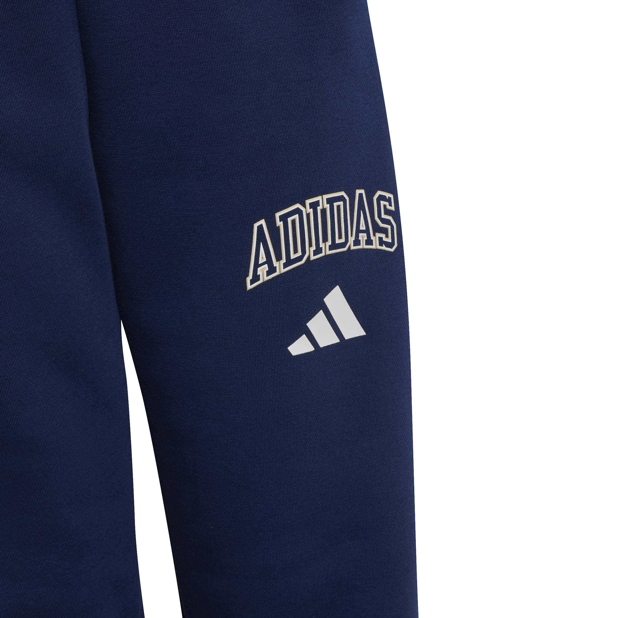 Adidas Pantaloni Seasonals Collegiate Typography Blu