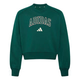 Felpa Collegiate Typography Scollo a V Junior - Verde