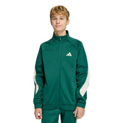 Adidas Giubbotto Verde