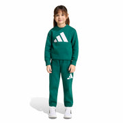Adidas Tuta Verde