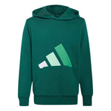 Felpa con Cappuccio Essentials Bambino - Verde