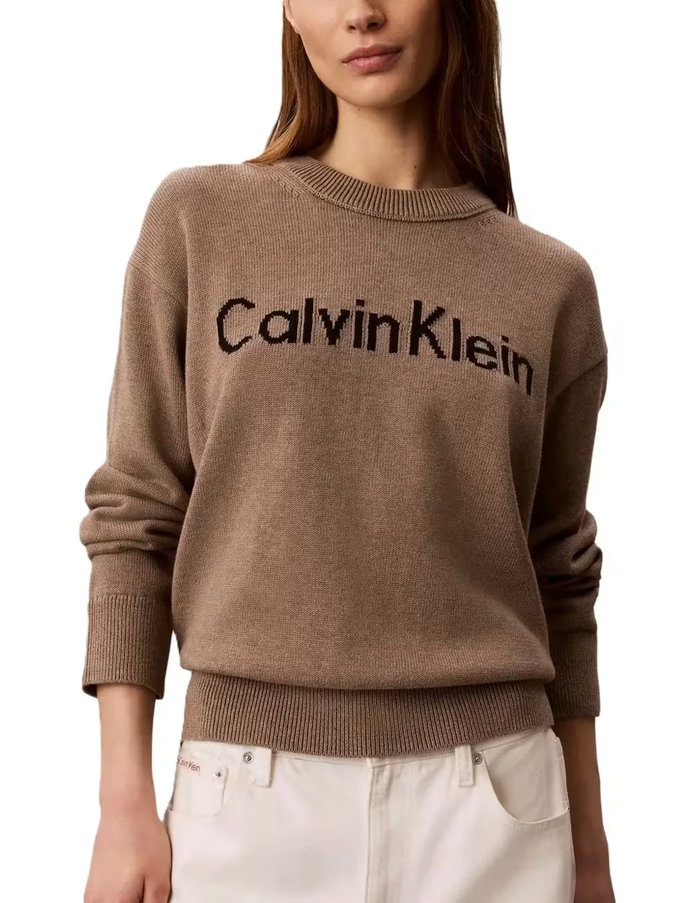 Maglione Contrast Logo Swe - Marrone