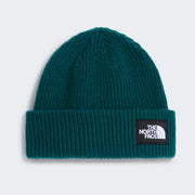 The North Face Salty Lined Beanie Verde Pacific 1
