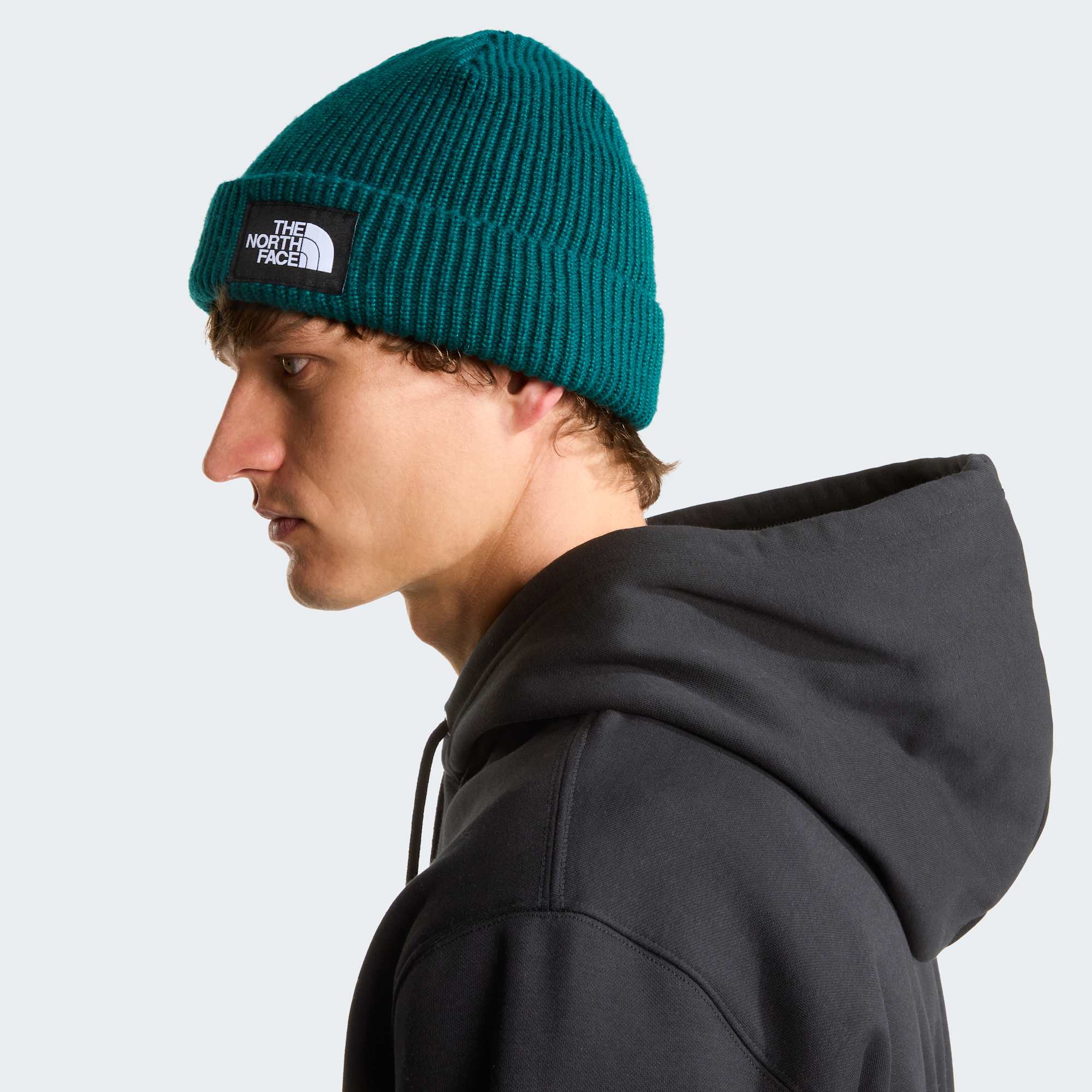 The North Face Salty Lined Beanie Verde Pacific 4