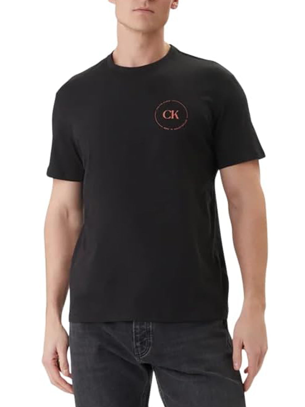 Calvin Klein T-Shirt Whole Jeans Graphic Nero