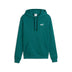 ESS 2 Color Small No. 1 Logo Hoodie TR - Emerald Ice