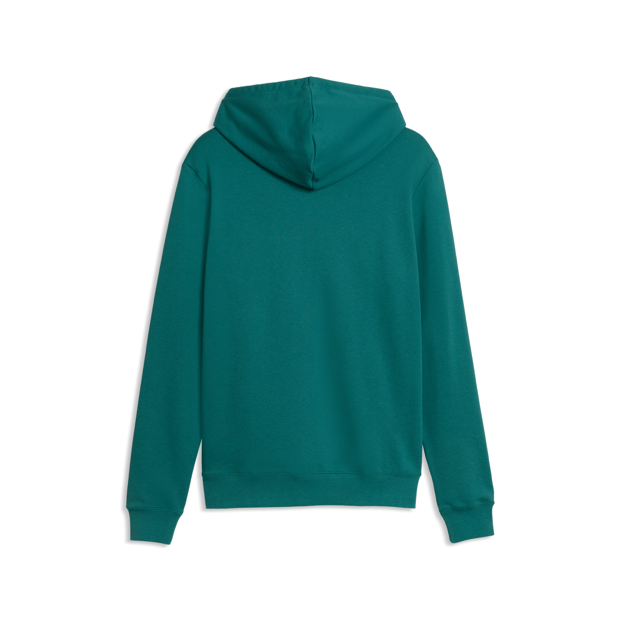 ESS 2 Color Small No. 1 Logo Hoodie TR - Emerald Ice