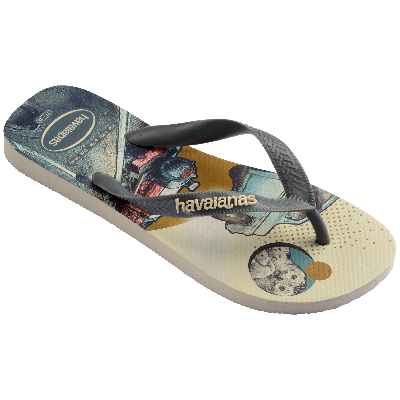 Havaianas Infradito Beige/grey Steel Grigio