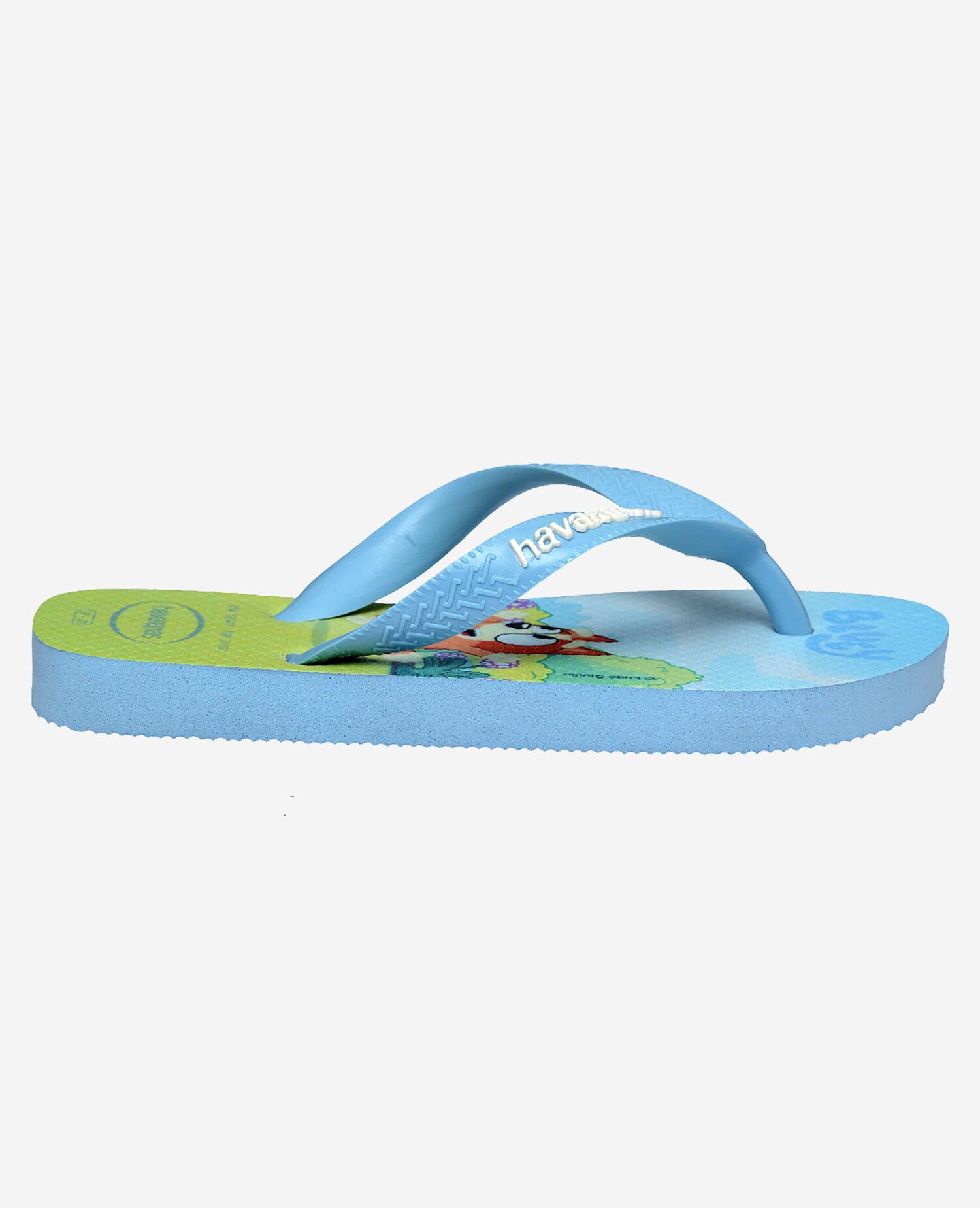 Havaianas Infradito Lavender Blue Blu