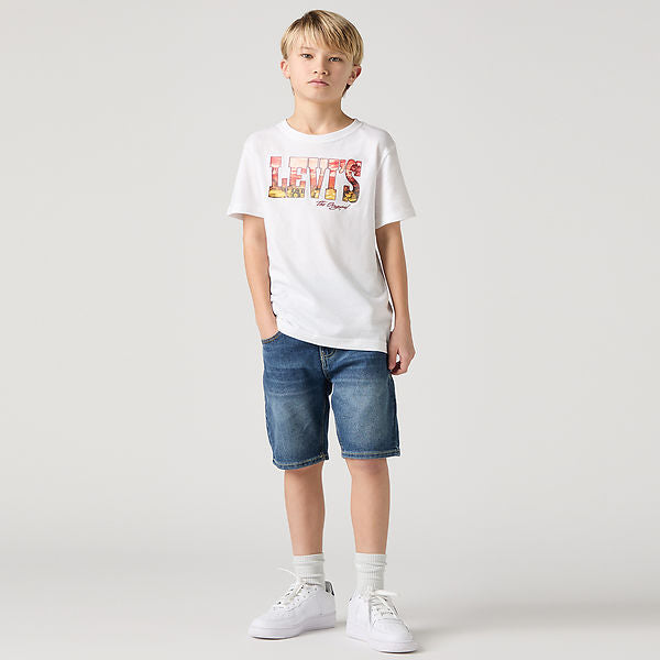 Levi's Shorts Marrone