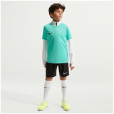 Maglia Dri-FIT Park VIII - Blu
