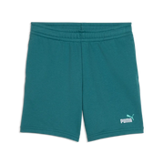 ESS 2 Color No. 1 Logo Shorts TR B - Emerald Ice