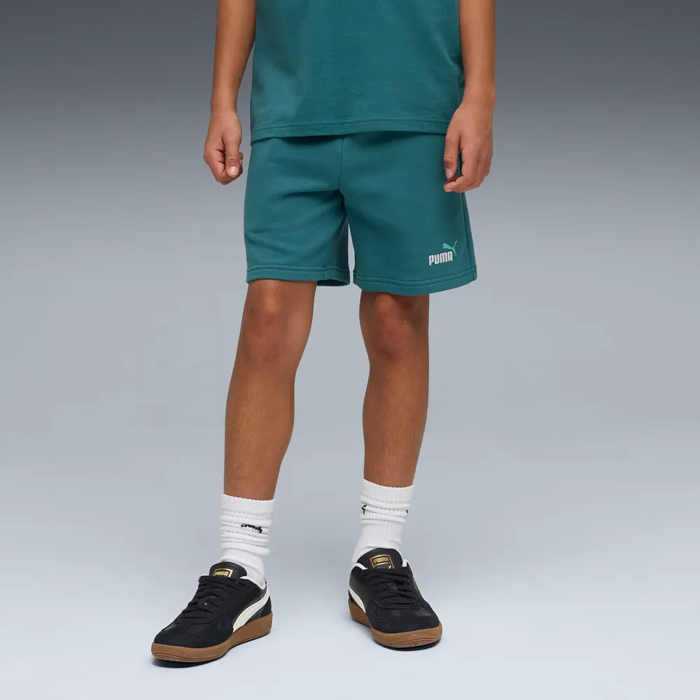 ESS 2 Color No. 1 Logo Shorts TR B - Emerald Ice