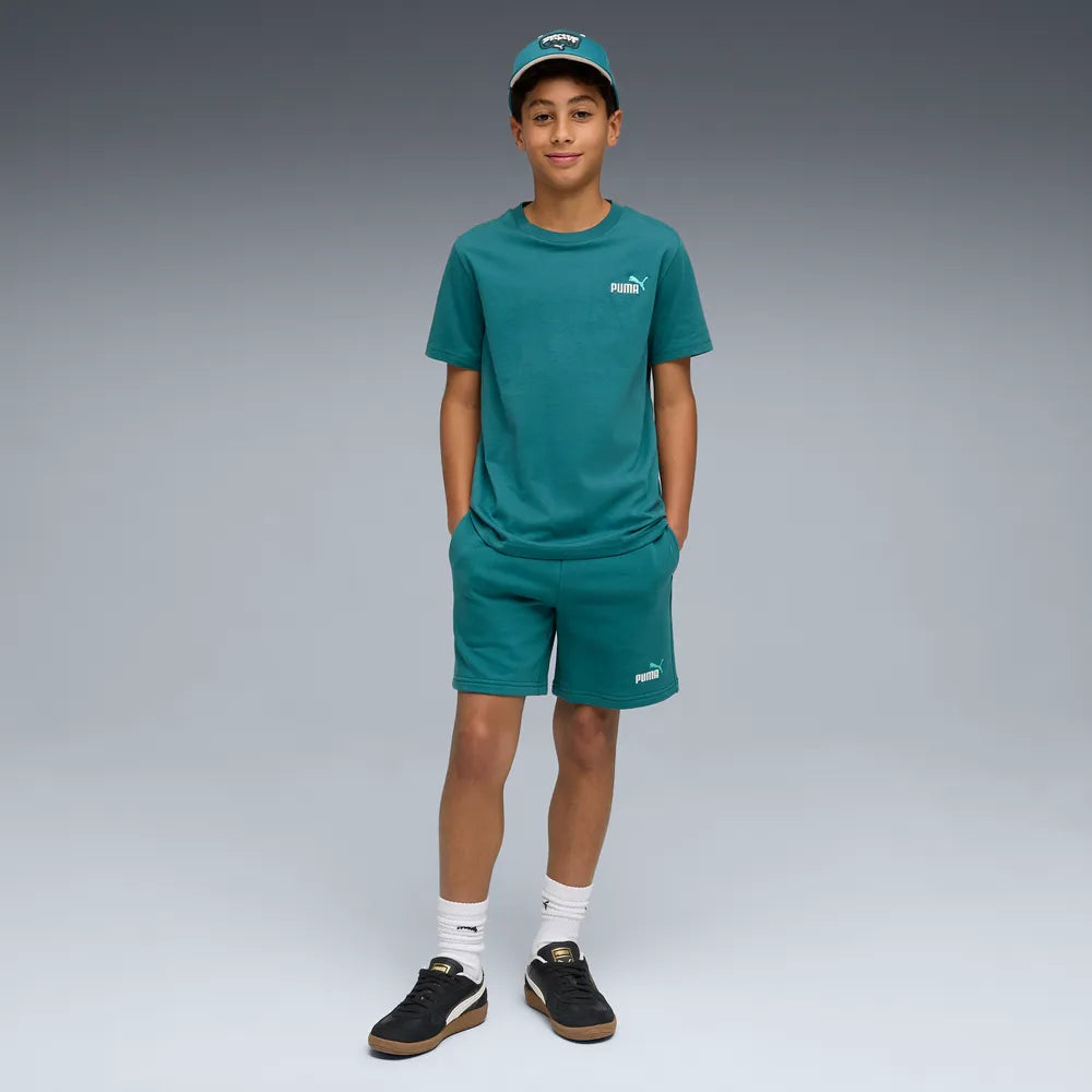 ESS 2 Color No. 1 Logo Shorts TR B - Emerald Ice