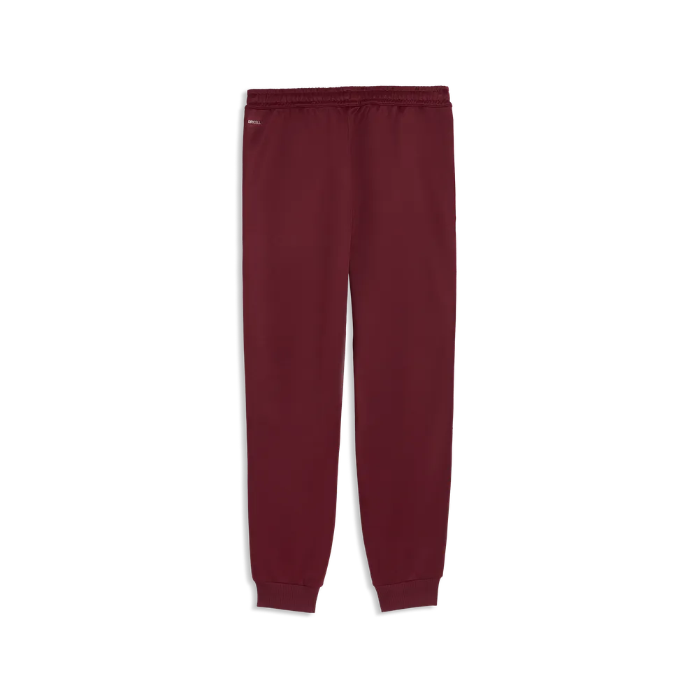 FPF King Anthem Pants - Ruby Shimmer / Sea Glass