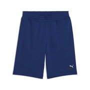 ESS 2 Color No. 1 Logo Shorts 10" TR - Blue Jewel