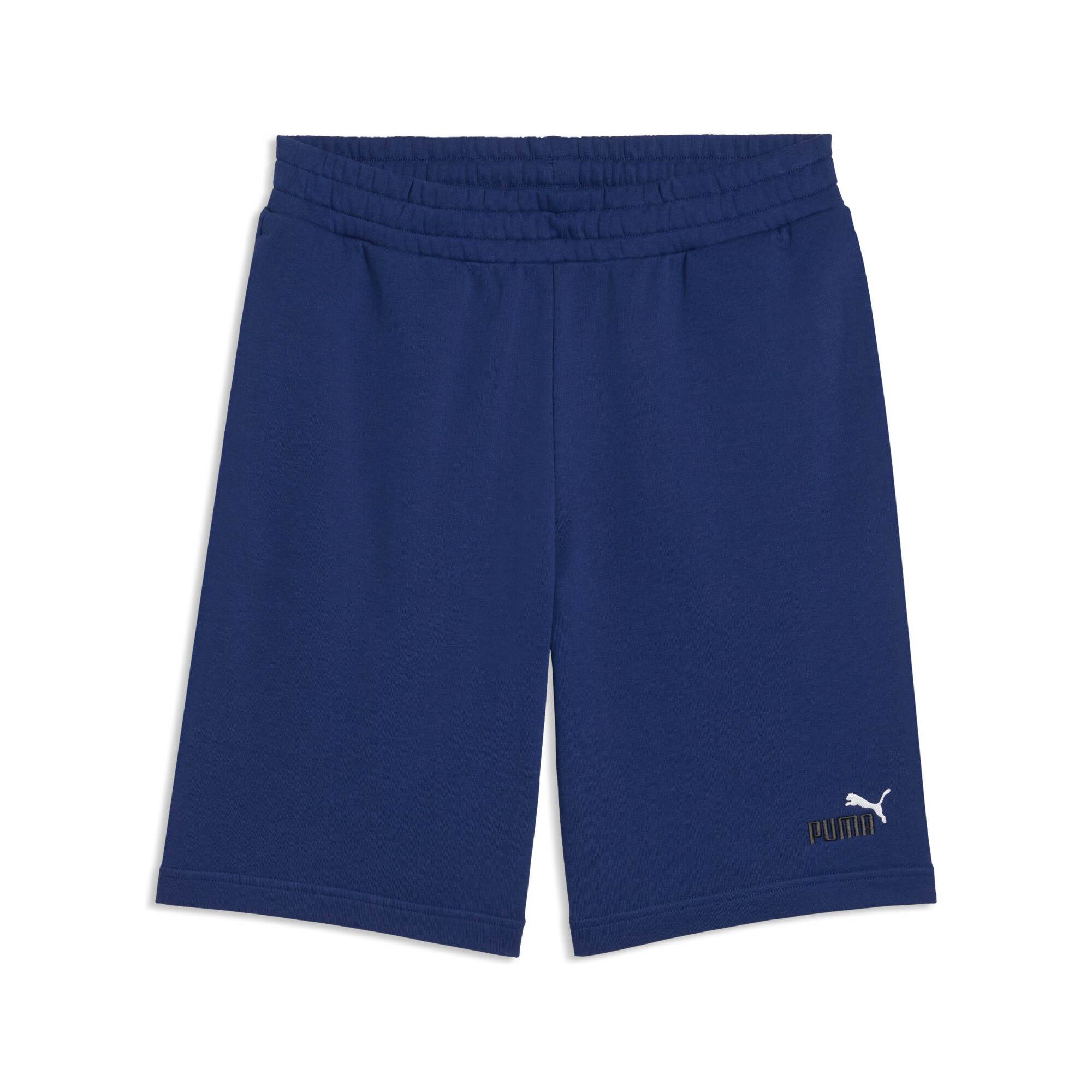 ESS 2 Color No. 1 Logo Shorts 10" TR - Blue Jewel
