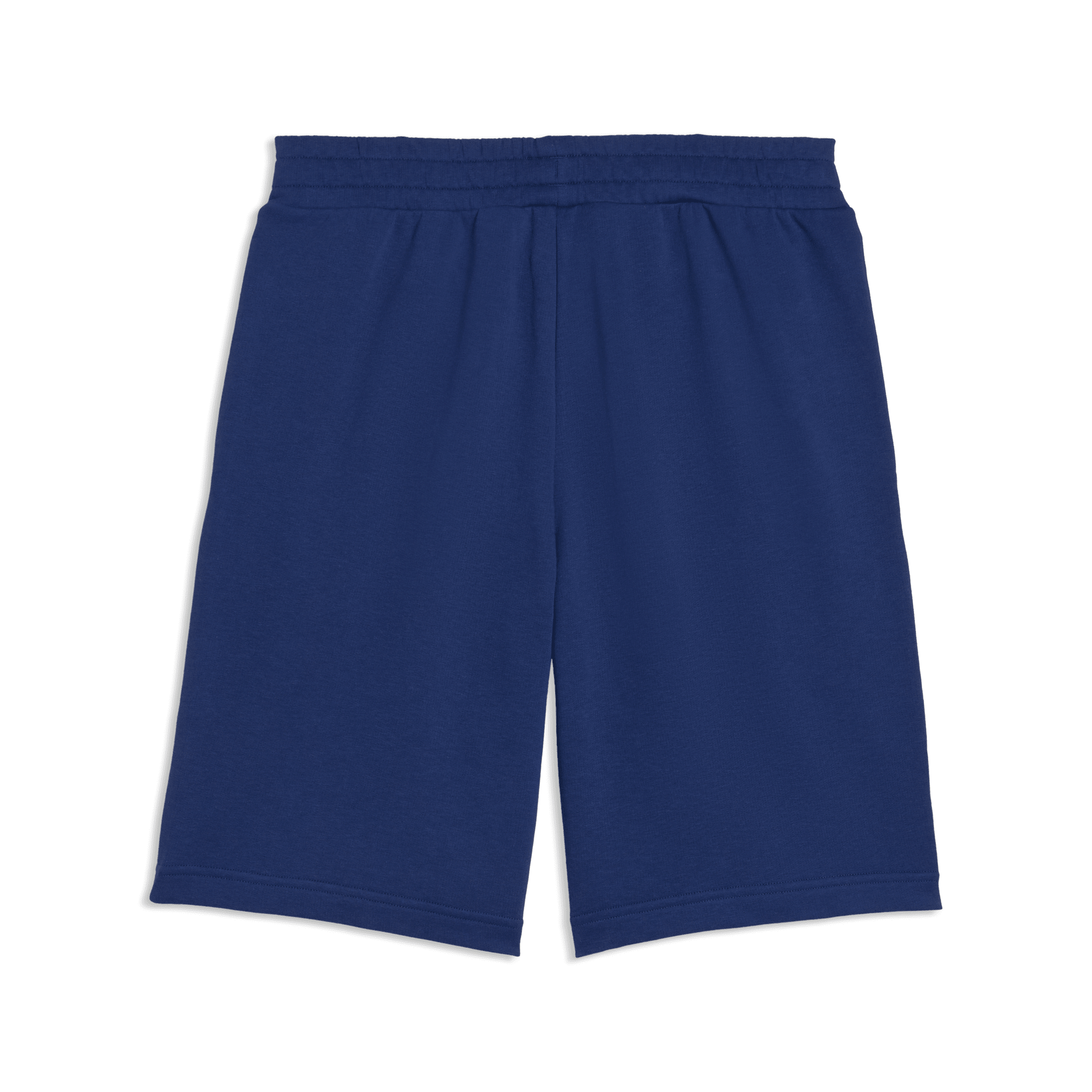 ESS 2 Color No. 1 Logo Shorts 10" TR - Blue Jewel