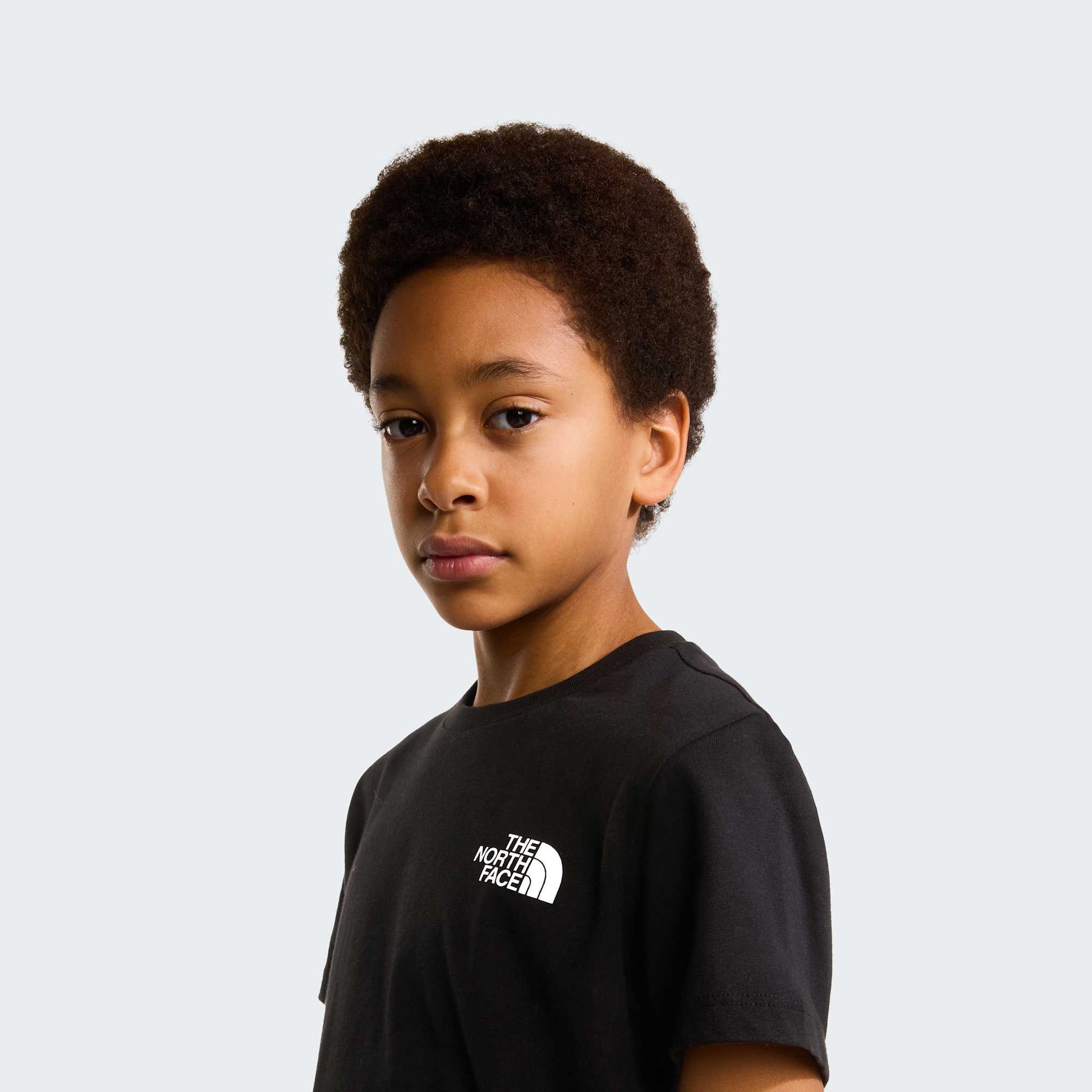 The North Face T-Shirt Box NSE Nero