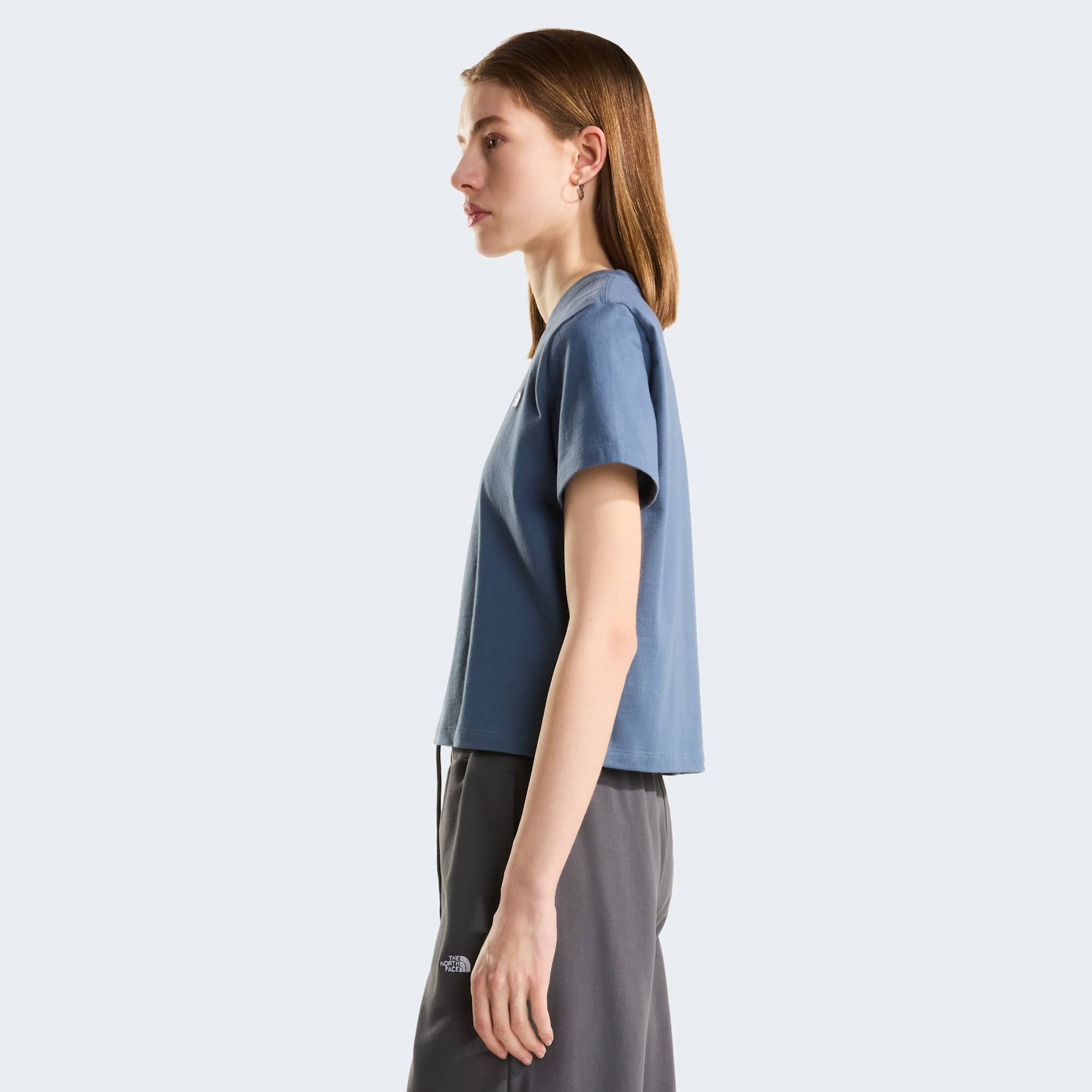 The North Face T-Shirt Evolution Box NSE Grigio