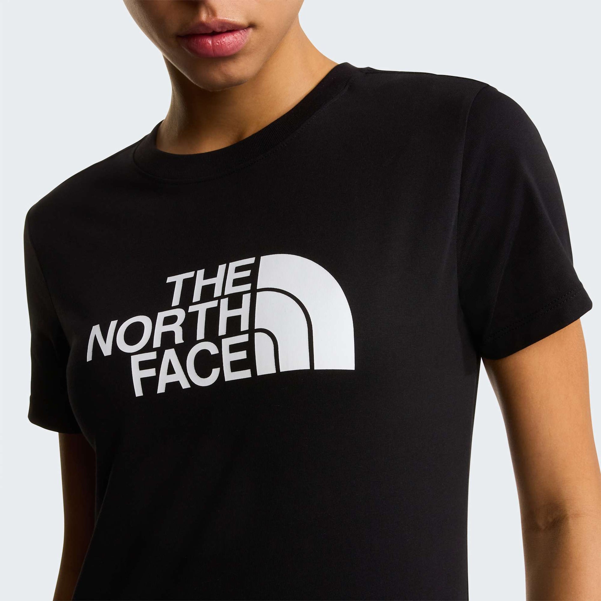 The North Face T-Shirt Evolution Half Dome Slim Nero