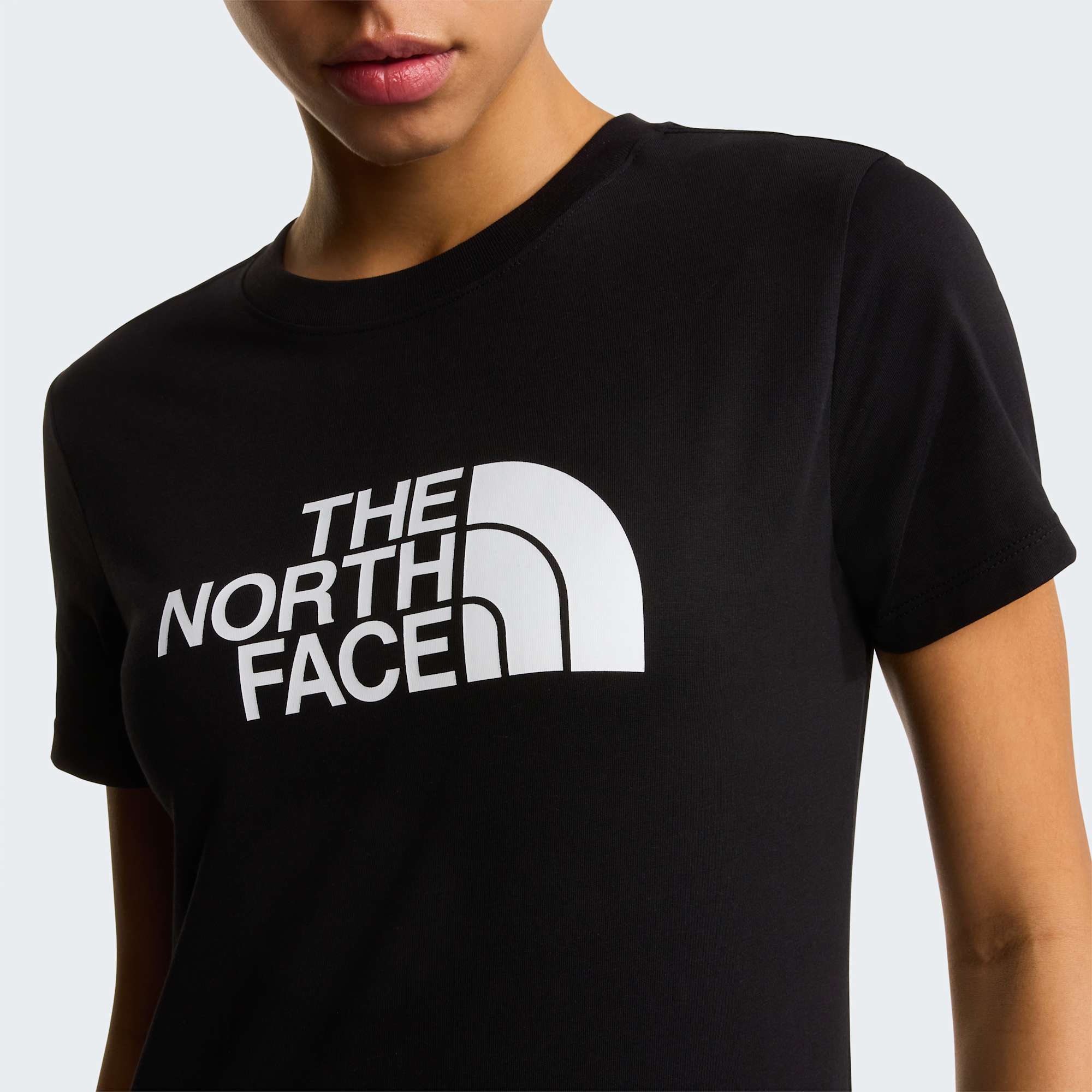 The North Face T-Shirt Evolution Half Dome Slim Nero