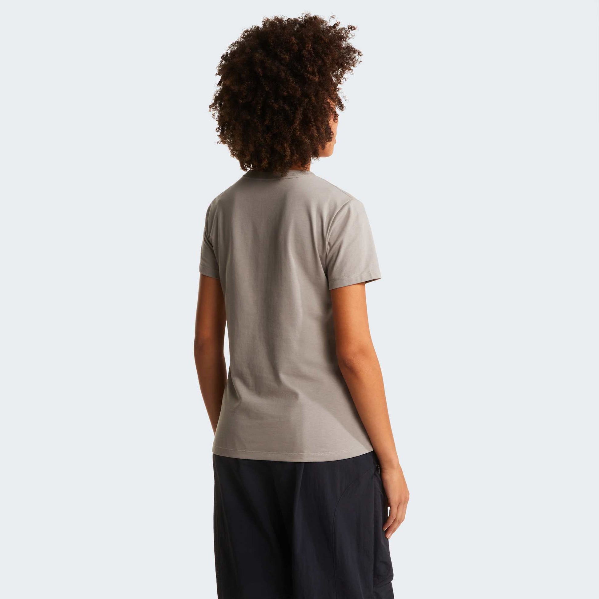 The North Face T-Shirt Evolution Simple Dome Crop Grigio